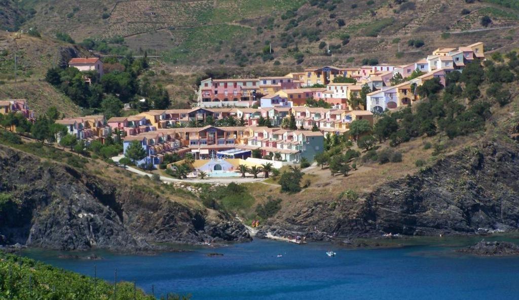 F3 En Bord De Mer Avec Piscine Cerbère Екстериор снимка