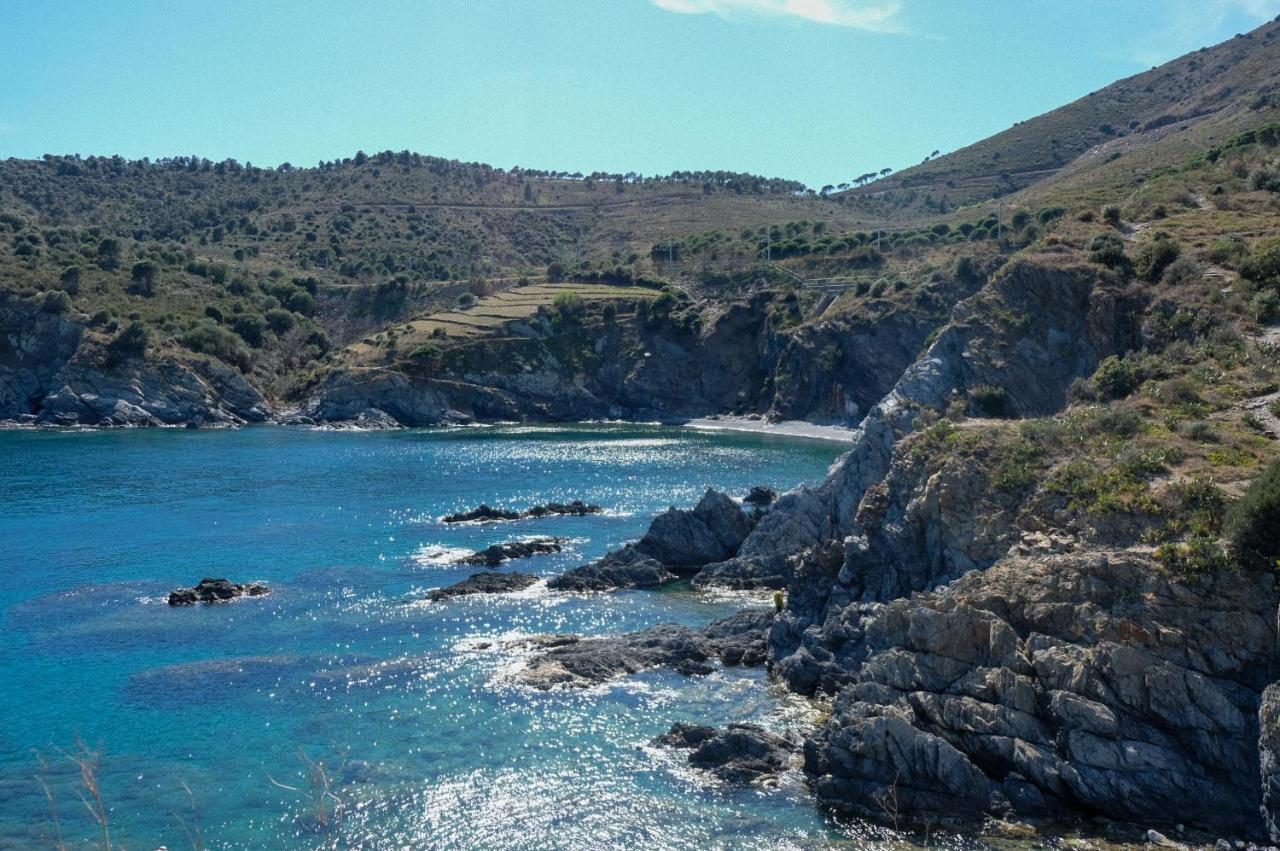 F3 En Bord De Mer Avec Piscine Cerbère Екстериор снимка